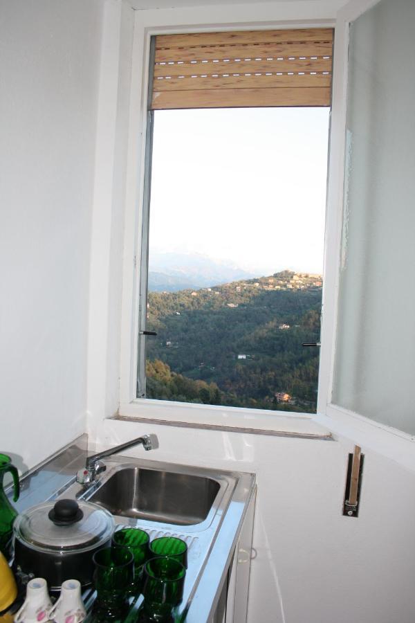 Agriturismo Oliva Azzurra Villa Valeriano Lunense Eksteriør bilde