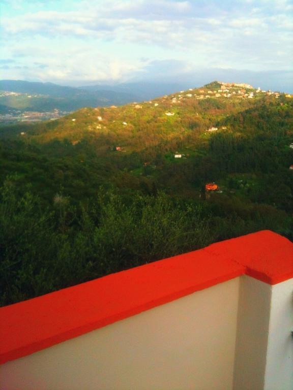 Agriturismo Oliva Azzurra Villa Valeriano Lunense Eksteriør bilde